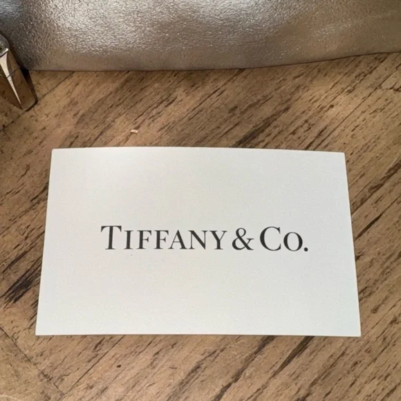 Tiffany & Co. Aqua and Silver Tote Bag Set - Picture 9 of 16